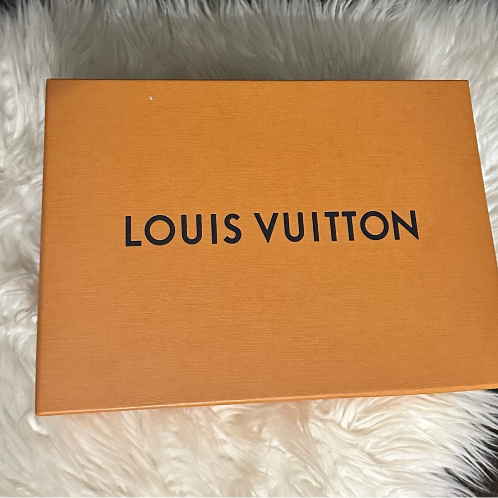 Louis Vuitton Orange Shoe Box with 2 Shoe Dust Bags
